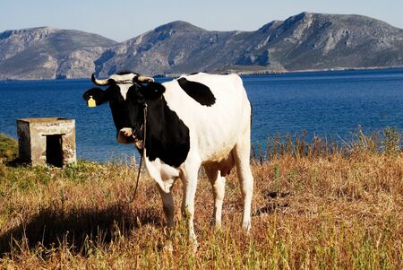 Landscape view of Leros island in Greece.の写真素材