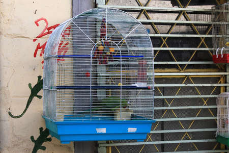 Greece, Athens, July 16 2020 - Bird market, bird cages outside a shop in the center of Athens.のeditorial素材