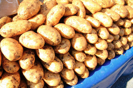 Stall with potatoes at street marketの写真素材