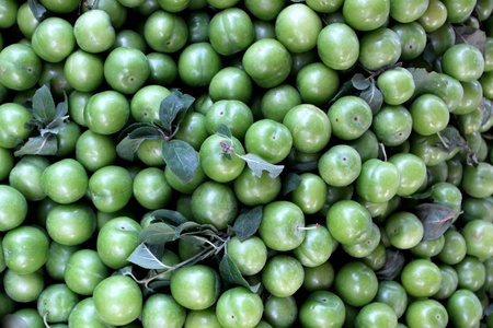 Green plums packed in the market の写真素材