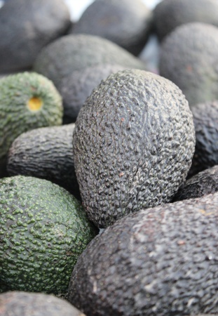 Green and Black Avocado at the marketの写真素材