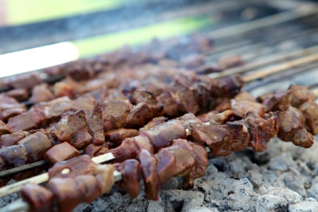 Turkish shish kebab on the barbecue in gardenの写真素材