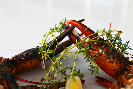 A lobster dinner at a restaurantの写真素材