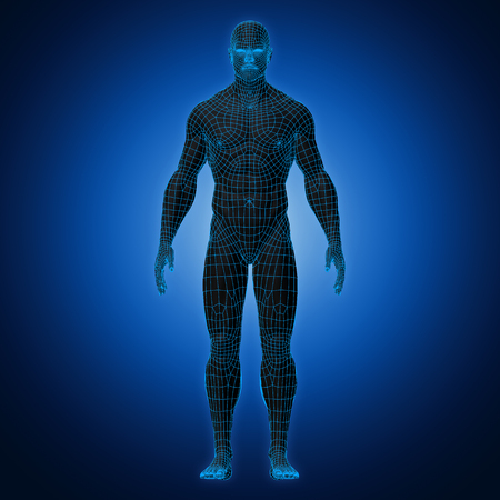 3D Rendering, Human muscle, Black shade anatomy man with Blue Wireframe Full Body front view on dark...