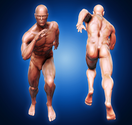 3D Rendering, High resolution, Conceptual  health fitness exercise human muscle, Skin shade anatomy man running and spinter Front and Back view on dark background, Clipping path.の写真素材