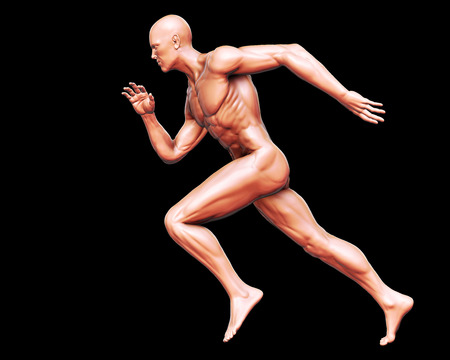3D Rendering, High resolution, Conceptual  health fitness exercise human muscle, Skin shade anatomy man running and spinter side view isolate on black background, Clipping path.の写真素材