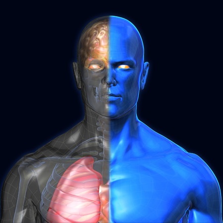3D Rendering, Human organs and muscle, Blue shade anatomy man, Half X ray Bones Heart lung brain liver, Face front view on dark background, Clipping path.の写真素材