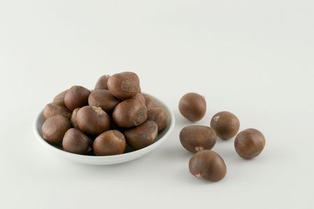 Japanese Chestnutの写真素材