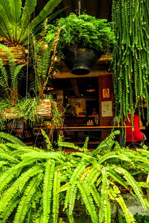 Chiang Mai, THAILAND - January 29, 2017: A young man eating coffee in a shop decorated with trees at BannKangWat Chiang Mai Thailand.のeditorial素材