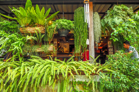 Chiang Mai, THAILAND - January 29, 2017: A young man eating coffee in a shop decorated with trees at BannKangWat Chiang Mai Thailand.のeditorial素材