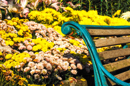 Chairs in the flower gardenの写真素材