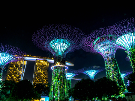 Gardens by the Bay, Singapore - Nov 26, 2018: Night view of Supertree Grove at Gardens by the Bay in Singapore. Spanning 250 acres of reclaimed land in central Singapore Near Marina Bayのeditorial素材