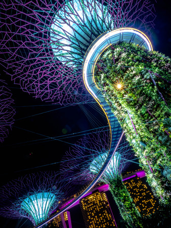 Gardens by the Bay, Singapore - Nov 26, 2018: Night view of Supertree Grove at Gardens by the Bay in Singapore. Spanning 250 acres of reclaimed land in central Singapore Near Marina Bayのeditorial素材