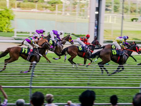 Group of horses charging for the finish line during racing day in Bangkok Thailand,のeditorial素材