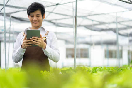 New generation, Happy young Asian businessman organic farm owner Standing proudly in the vegetable...