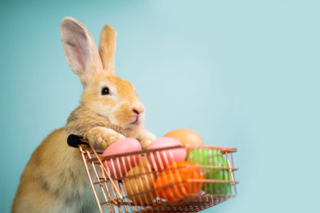 Cute bunny pushing a shopping cart or cart full of colorful Easter eggs on isolated blue background. Easter holiday shopping conceptの写真素材