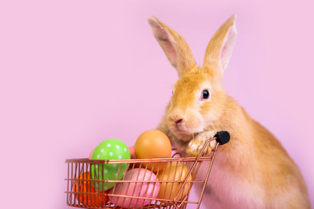 Cute eared rabbit  with cart full of Easter eggs on isolated pink backgroundの写真素材