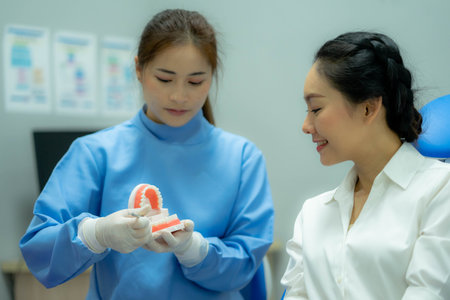 Female dentist in uniform showing how to brush teeth on denture model to woman on chair during appointmentの写真素材