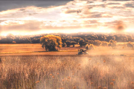 Bring in the harvestの写真素材