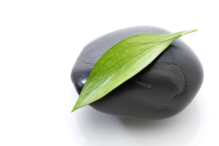 Green leaf on black stoneの写真素材