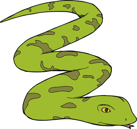 Isolated green snake over isolated white backgroundのイラスト素材