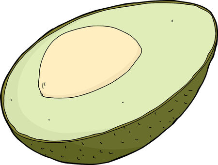 Avocado half with seed and skin on white backgroundのイラスト素材