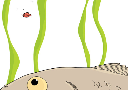 Cartoon of big fish looking at small goldfishのイラスト素材