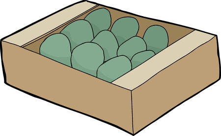 Green fruit in crate over white backgroundのイラスト素材