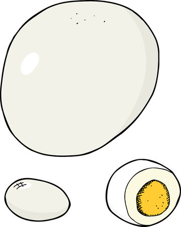 Isolated hard boiled egg with peeled version on whiteのイラスト素材