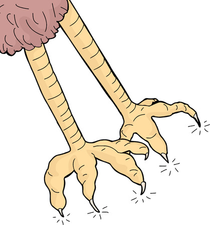 Sharp animal claws over isolated white backgroundのイラスト素材