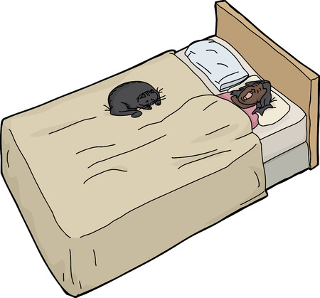 Single woman sleeping on bed with black catのイラスト素材