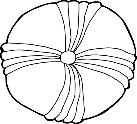Isolated outline drawing of common echinoderm fossilのイラスト素材