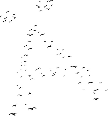 Illustration of a flock of birds in the shape of the diacritical a letterのイラスト素材