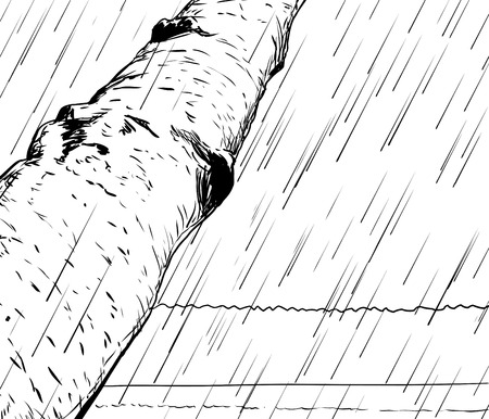 Outline illustration of nature background with forest, lake, birch tree and rain pouring downのイラスト素材