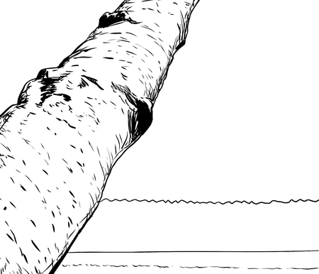 Outlined illustration of nature background with forest, lake and birch tree in foregroundのイラスト素材