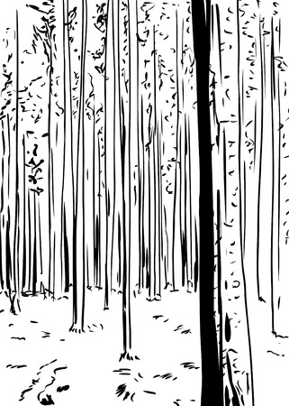 Outlined freehand illustration of forest wilderness background with tall treesのイラスト素材