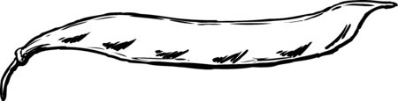 Outlined fresh beans in pod cartoon over white backgroundのイラスト素材