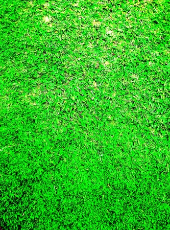 The Green Earthの素材