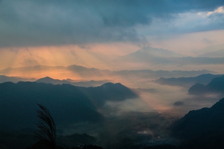 Sunlight in the morning の写真素材