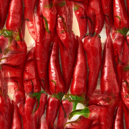 seamless pattern Red Chili pepper. isolated on white background.