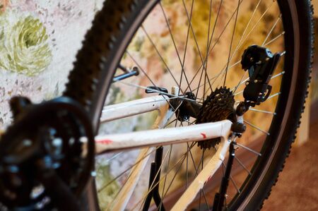 Home bike repair. Preparing for the bike season after winter. Close up shot parts