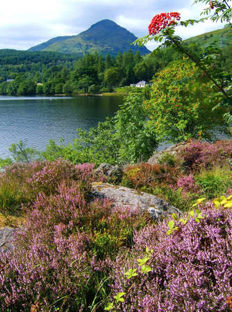 Loch Lomondの写真素材