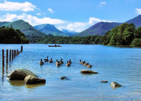 derwentwater ducksの写真素材