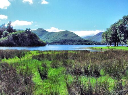 Derwentwater and grassの写真素材