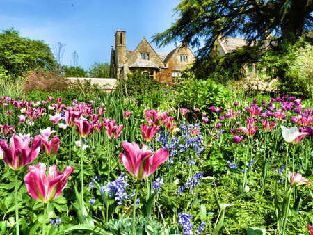 country gardenの写真素材