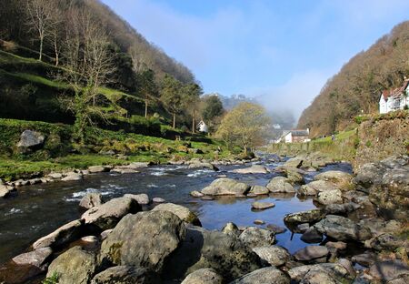 river lynの写真素材