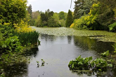 rainy day at the lakeの写真素材