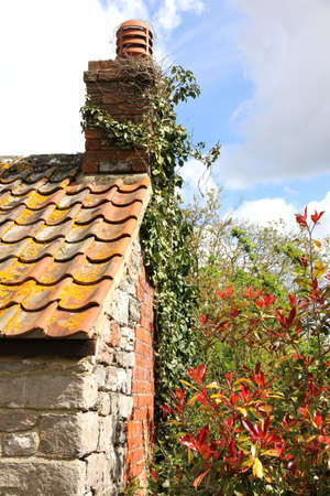 cottageの写真素材