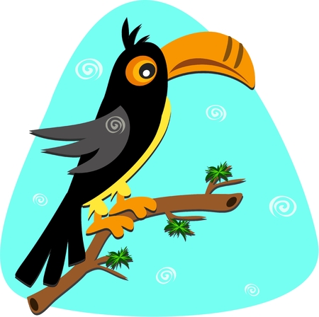 Toucan with Spiralsのイラスト素材