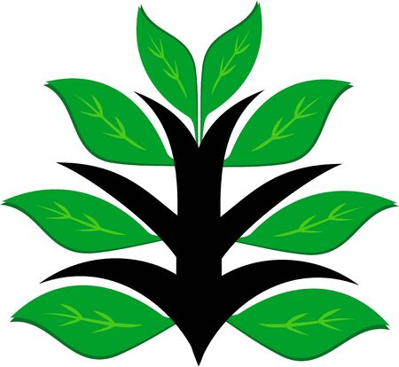 Healthy Green Plantのイラスト素材